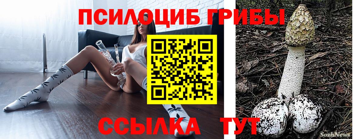 Галлюциногенные грибы GOLDEN TEACHER Улан-Удэ